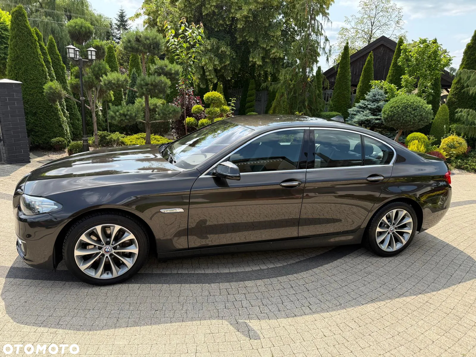 BMW Seria 5 525d Sport-Aut Luxury Line - 10