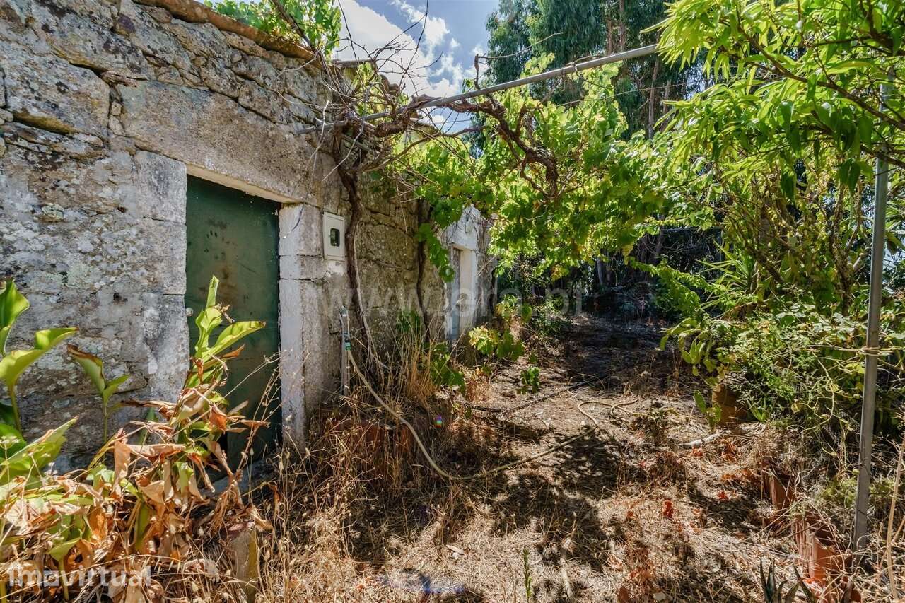 Terreno com ruina / Fundão, Quintas da Torre - Grande imagem: 2/20