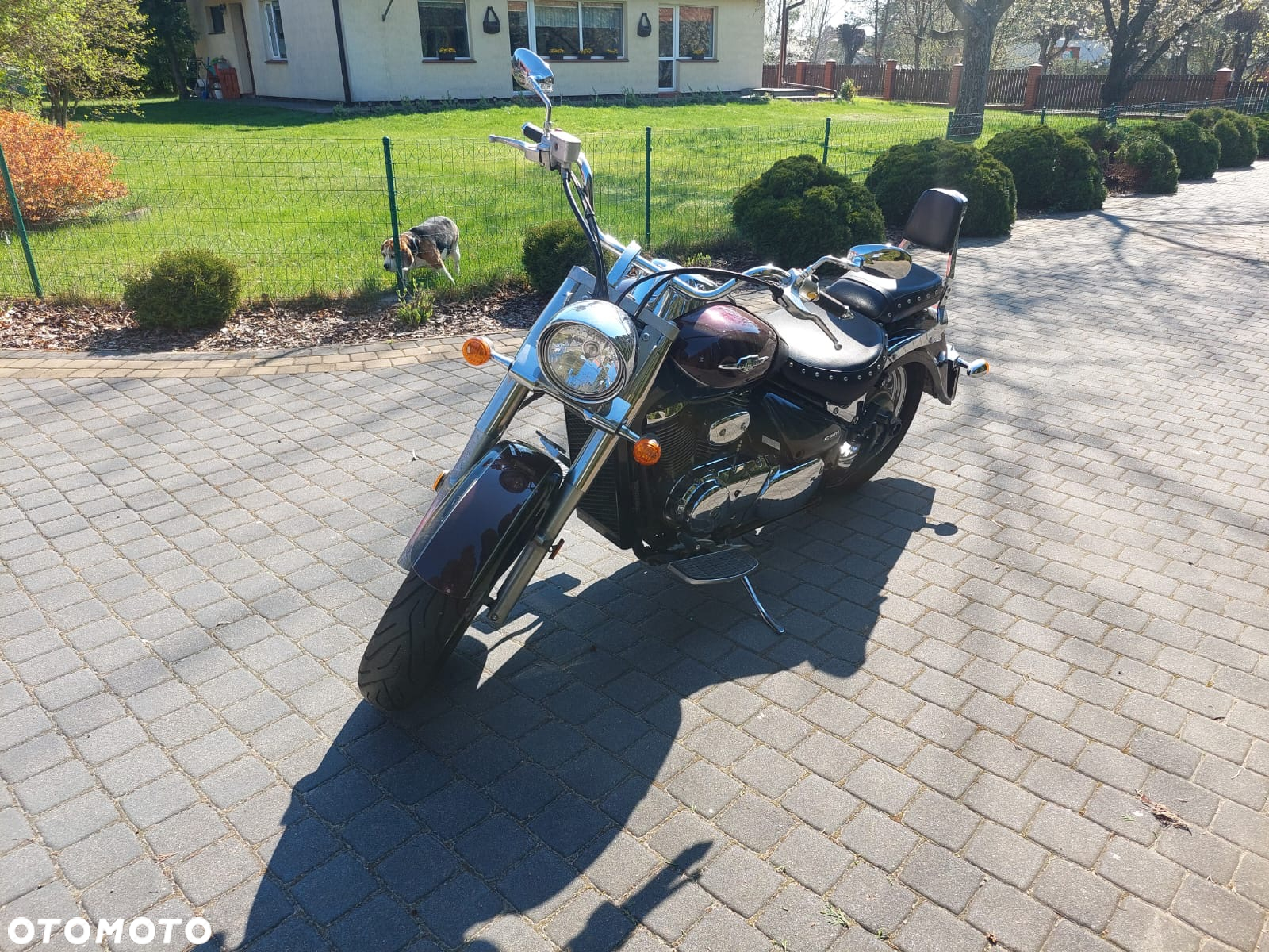 Suzuki VL 800 Volusia - Boulevard C50 - 7