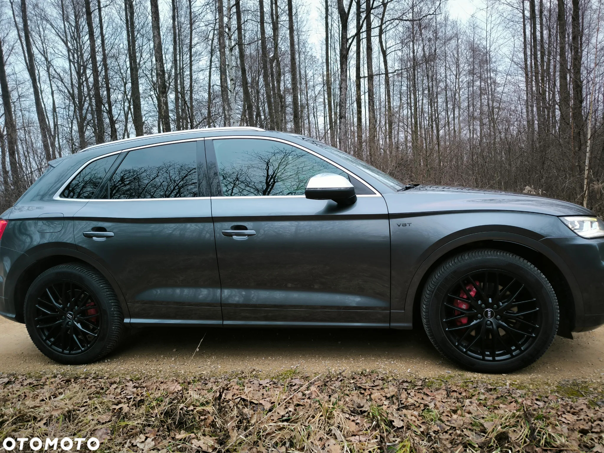 Audi SQ5 3.0 TFSI Quattro Tiptronic - 3