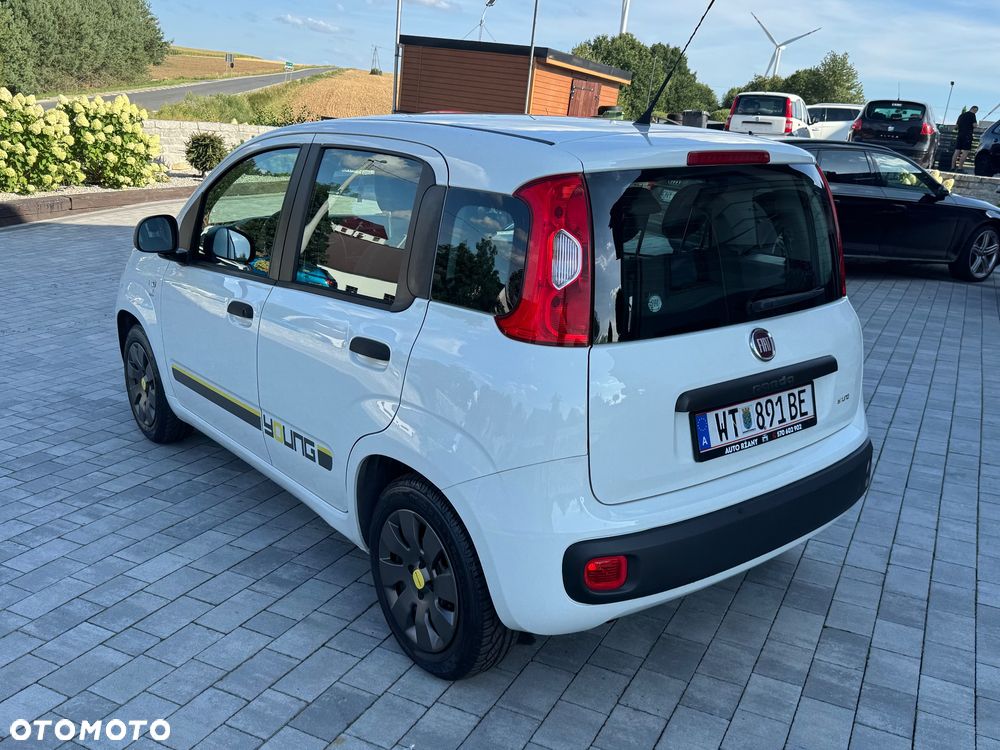 Fiat Panda 1.2 Young - 3