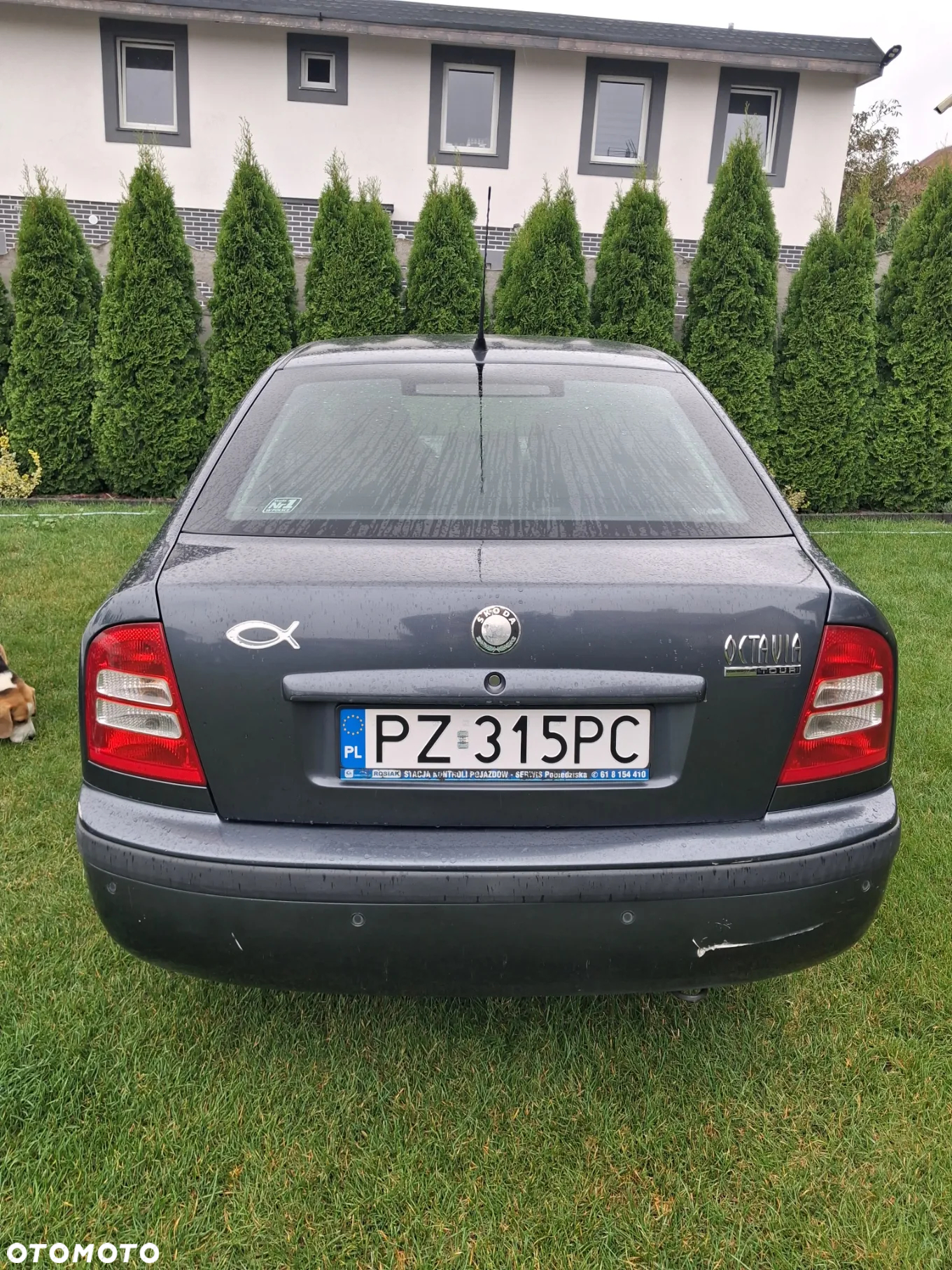 Skoda Octavia 1.6 Tour - 8