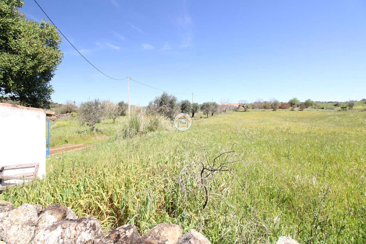 Quinta com 3,35 Hectares com Habitação de 130m2 localizada em Vila Boi - Grande imagem: 5/46