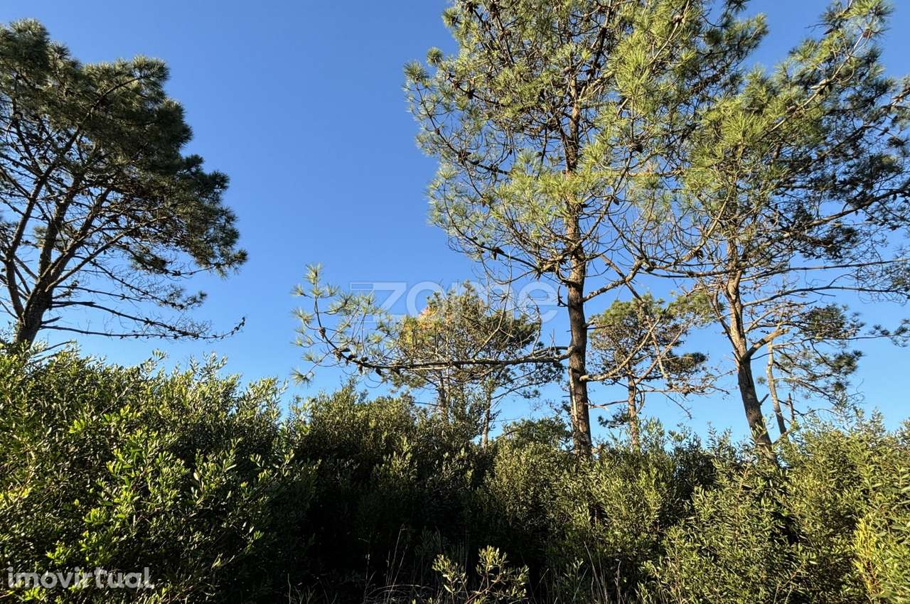 Terreno de 2870m2, muito perto do Mar - Grande imagem: 5/16