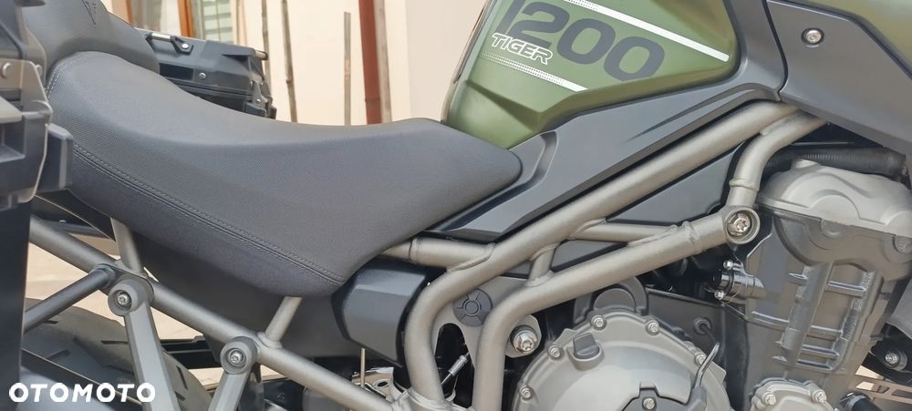 Triumph Tiger - 25