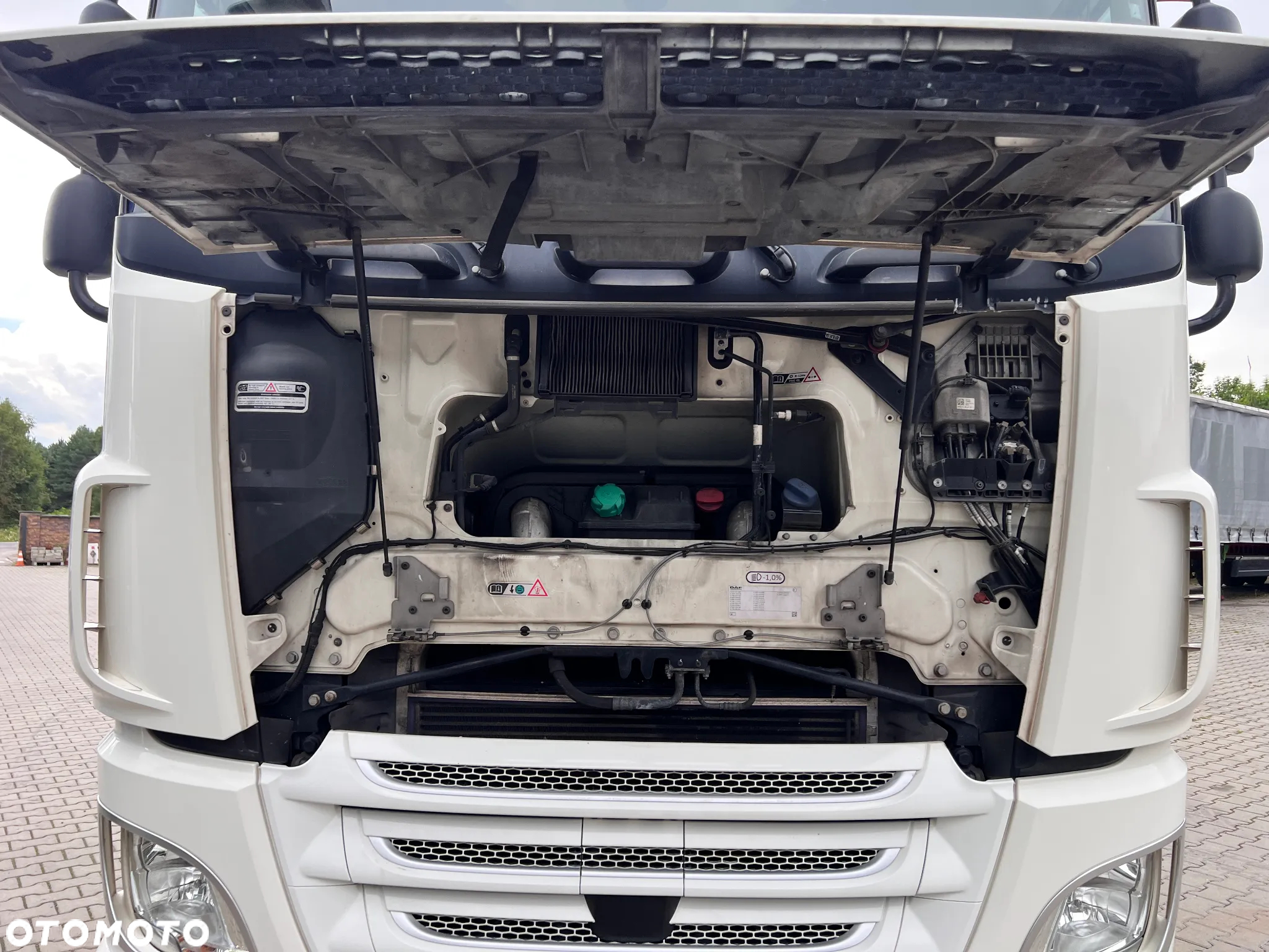 DAF XF 530 z Niemiec retarder idealny standard 2019 SSC - 23
