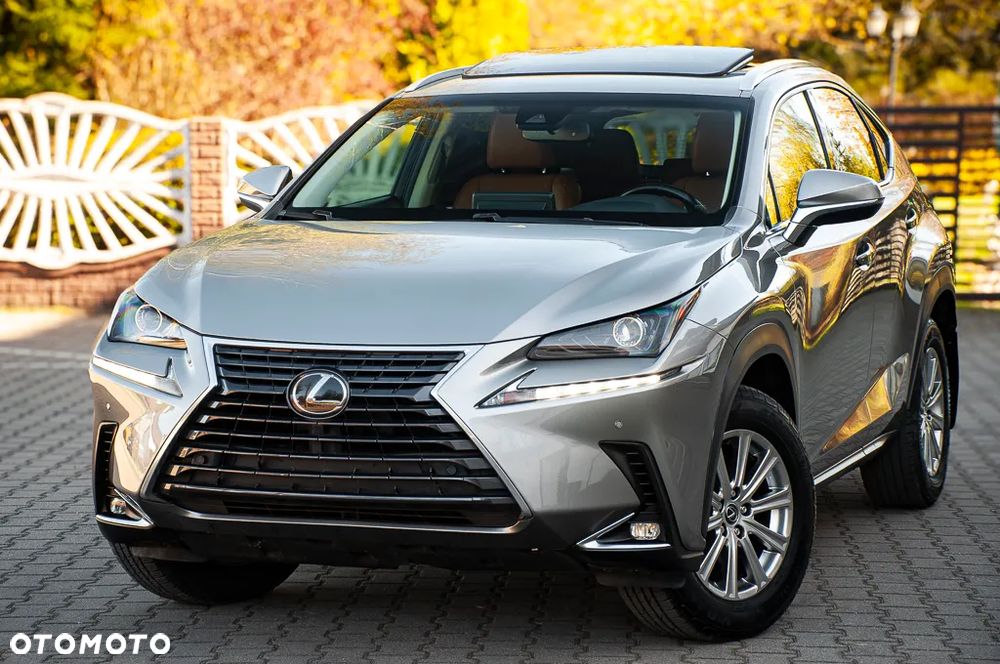 Lexus NX 300 AWD - 2