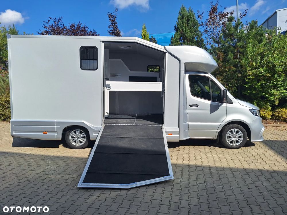 Mercedes-Benz Sprinter 319 - 11