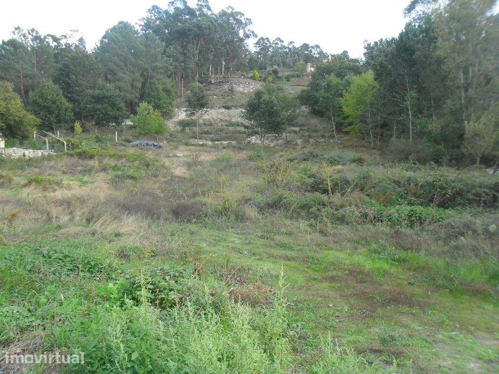 Terreno para Construção - Amarante ( Figueiró) - Grande imagem: 5/9