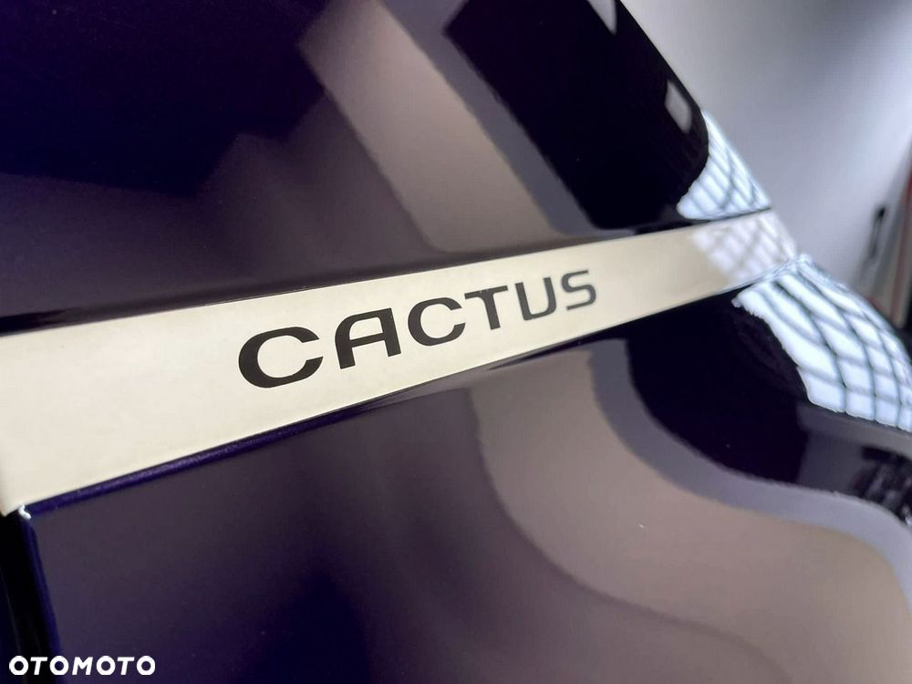 Citroën C4 Cactus VTi 82 Shine - 27