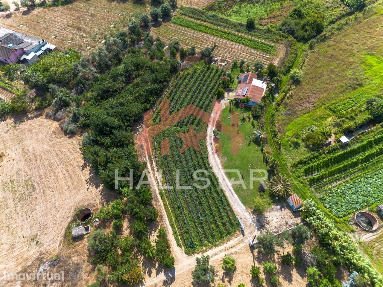 Terreno para construção / Área de 1848m² / Souto da Carpalhosa - Grande imagem: 3/14