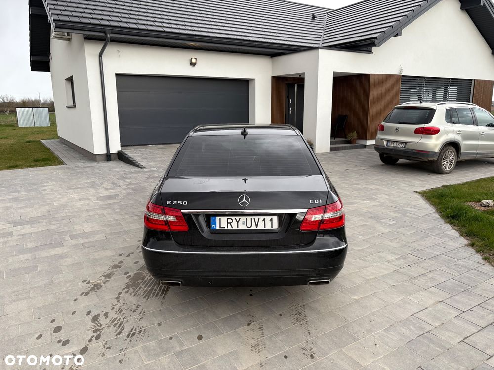 Mercedes-Benz Klasa E 250 CDI DPF BlueEFFICIENCY 7G-TRONIC Avantgarde - 26