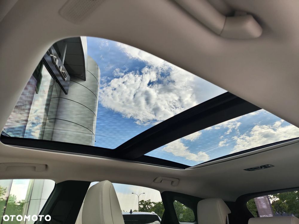 Lexus RX 450h+ F Sport Design - 18