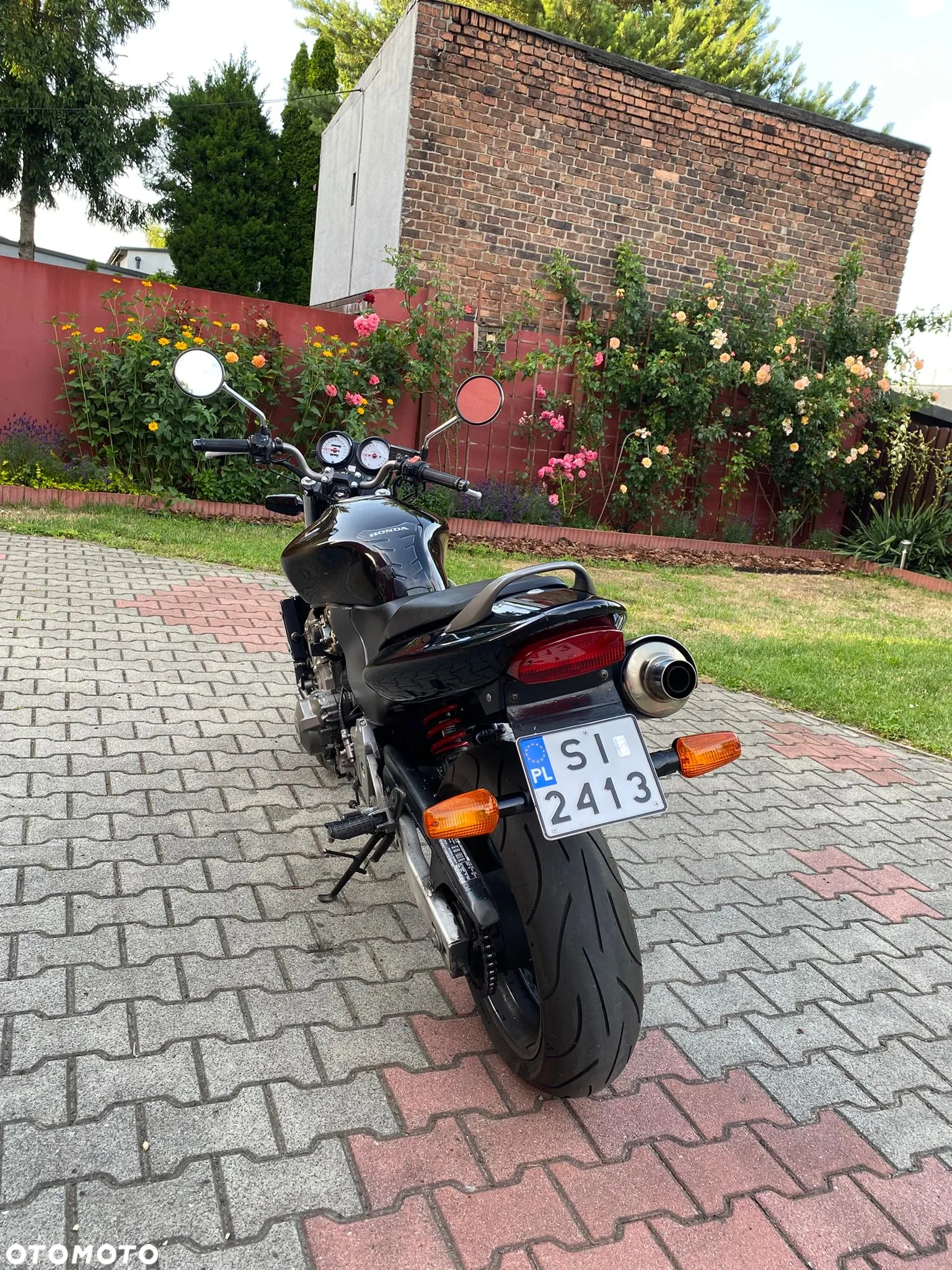 Honda Hornet - 10