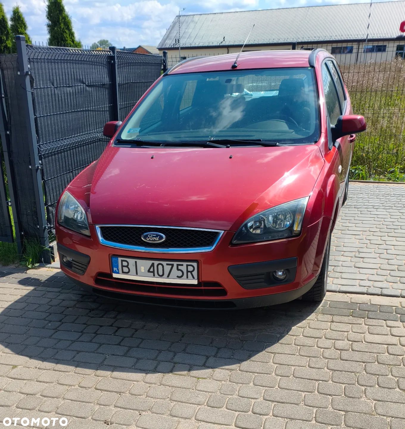Ford Focus - 1