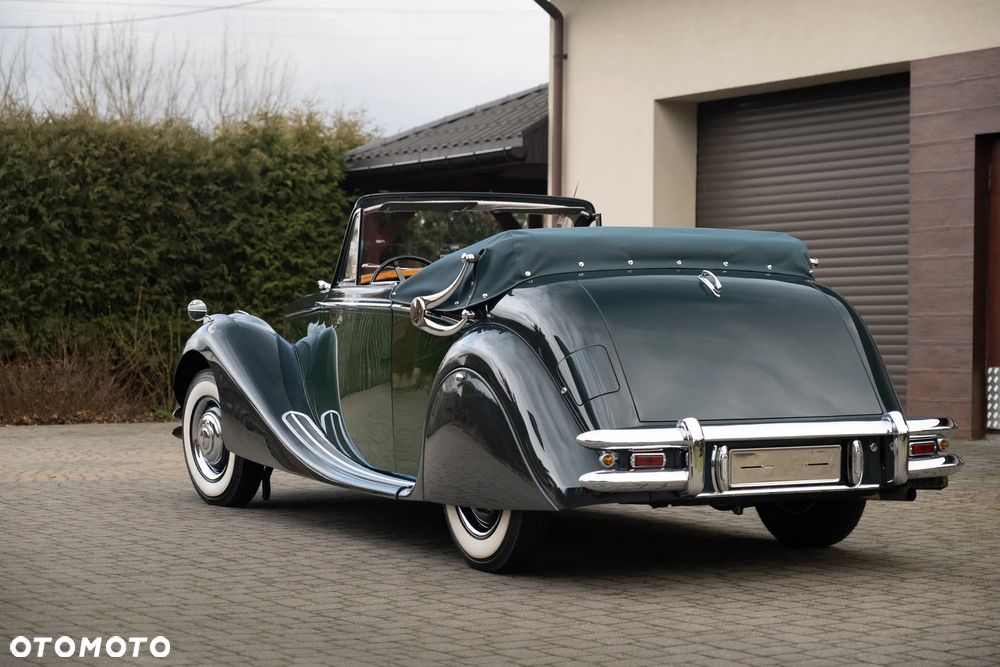 Jaguar Inny - 9