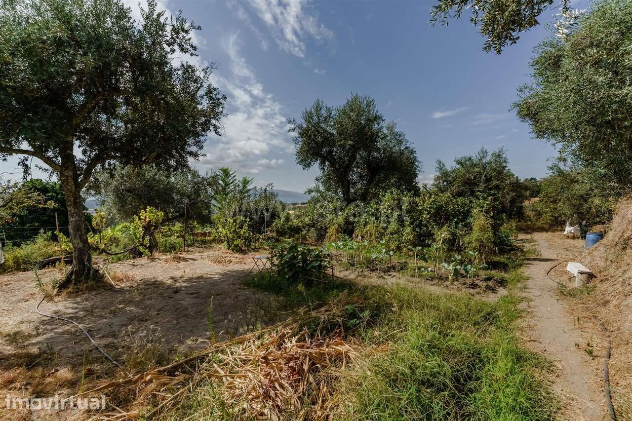 Terreno / Covilhã, Tortosendo - Grande imagem: 4/20