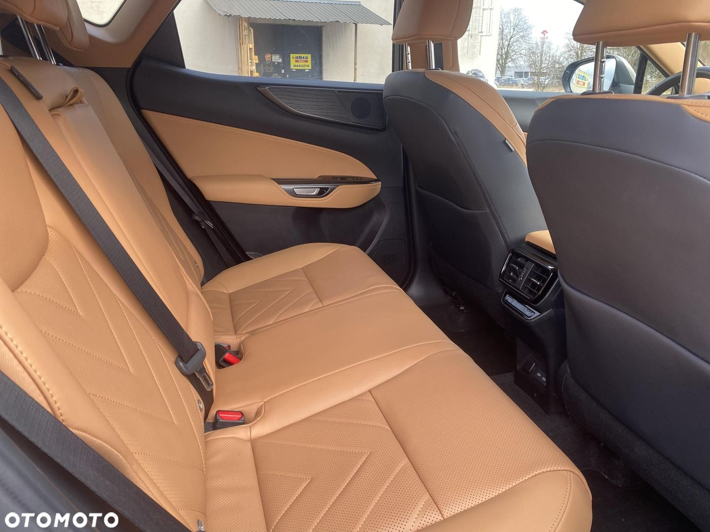 Lexus NX - 12