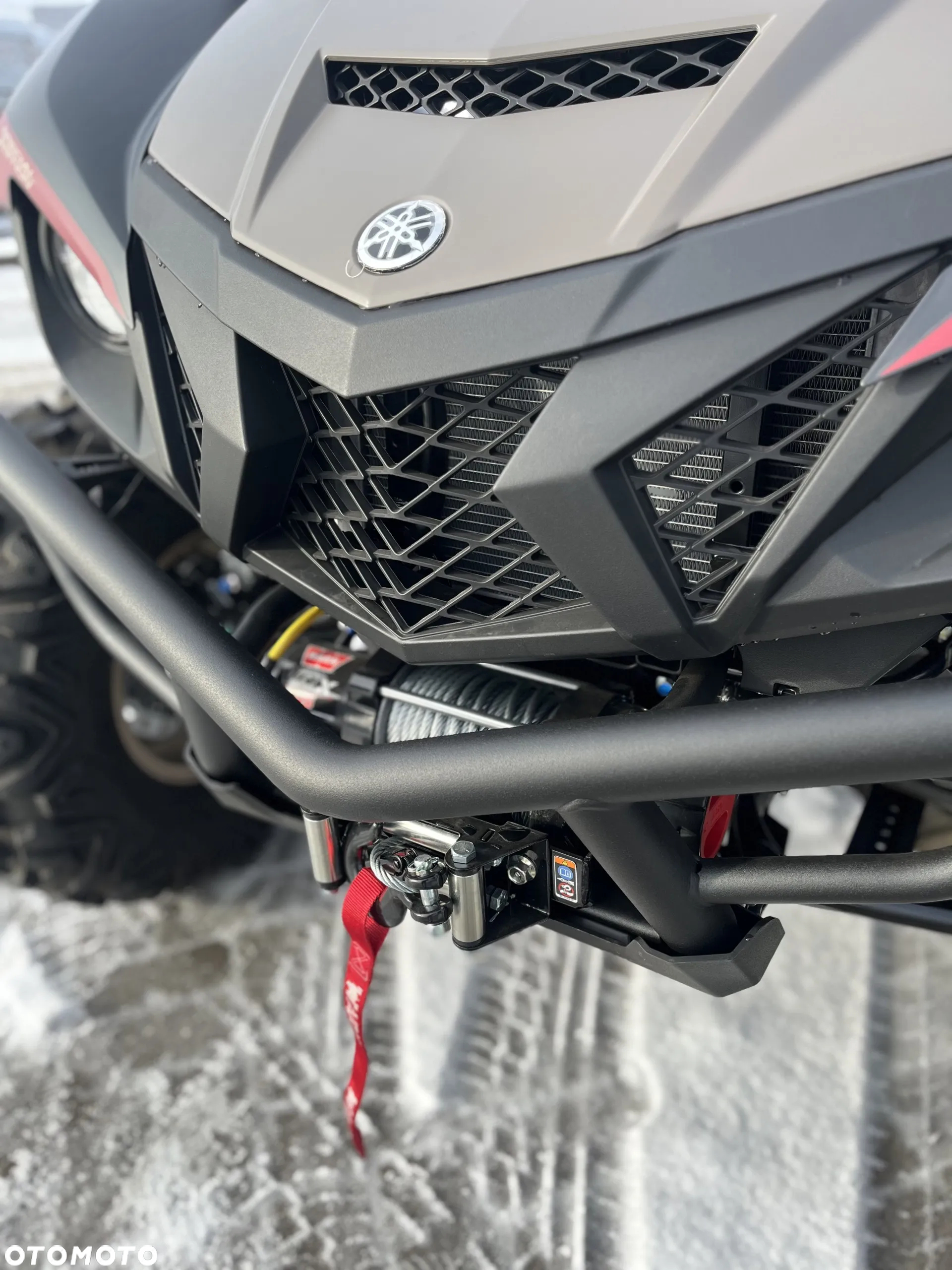 Yamaha Wolverine - 18