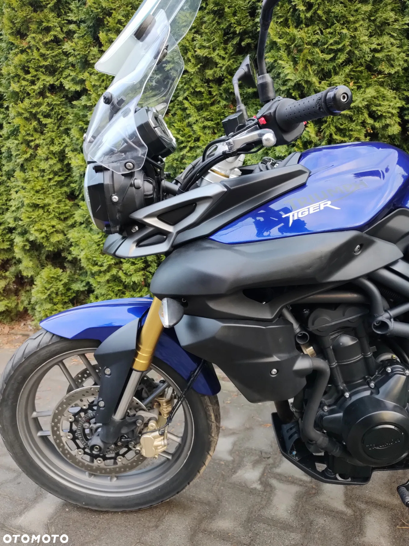 Triumph Tiger - 12