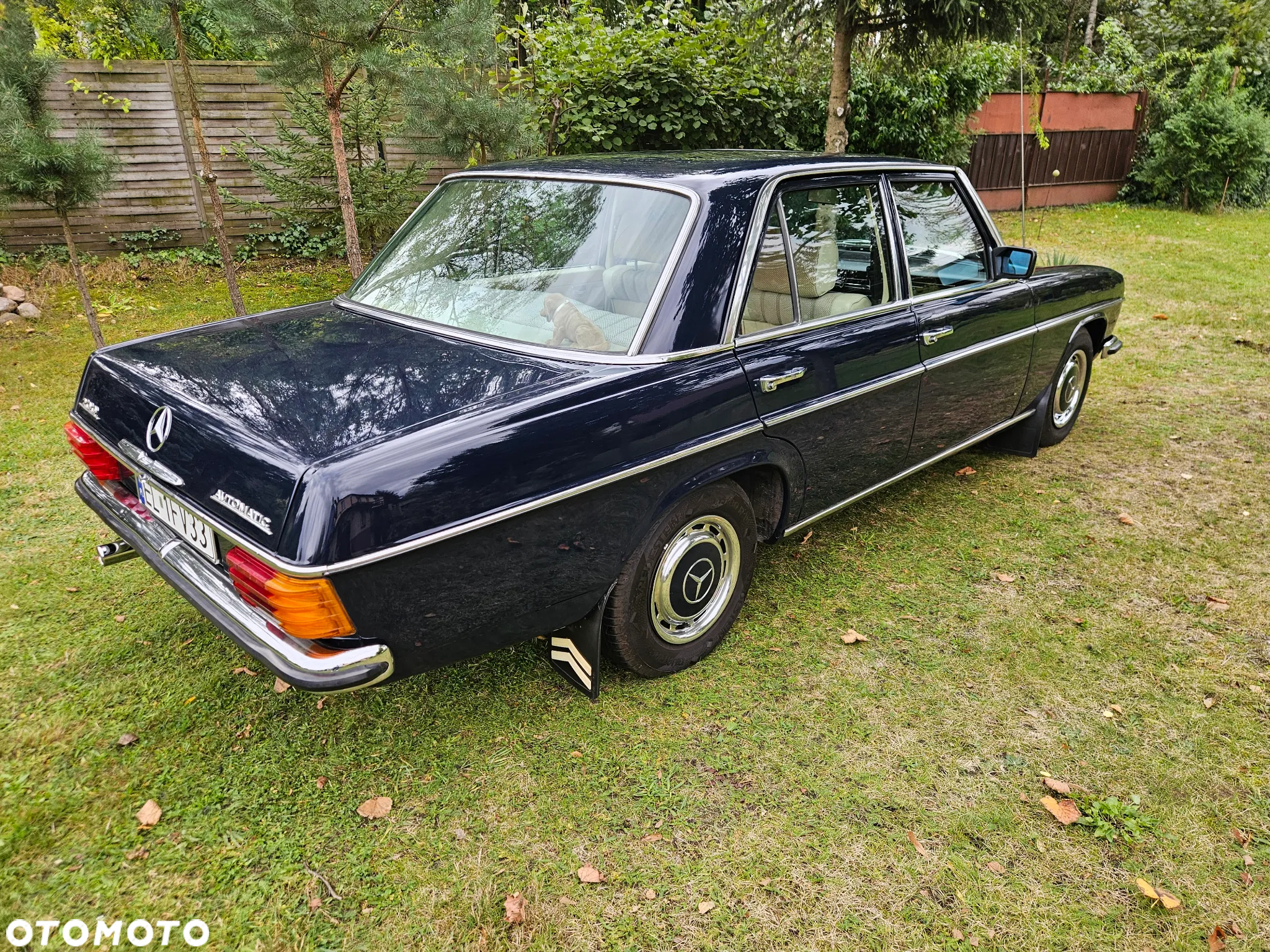 Mercedes-Benz Inny - 5