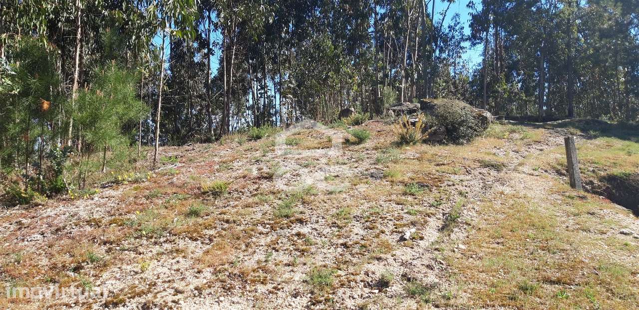 Terreno em São Mamede - Negrelos - Grande imagem: 2/6