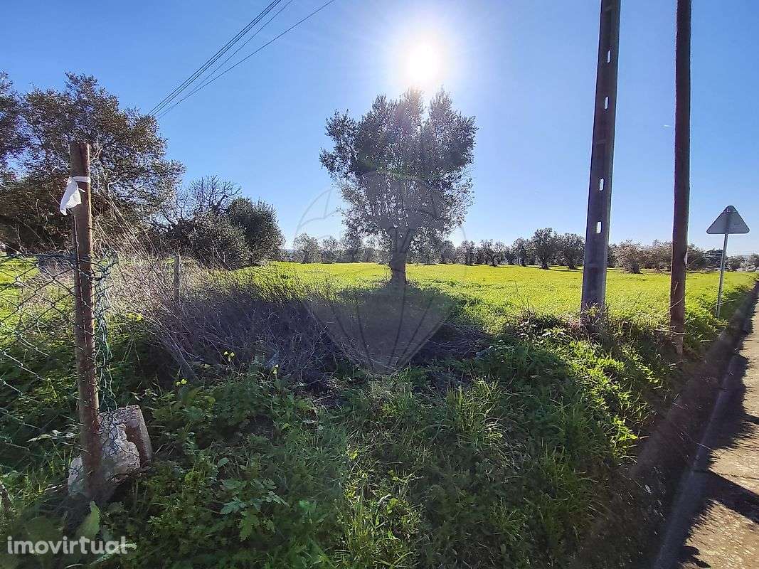 Terreno  para venda - Grande imagem: 4/5