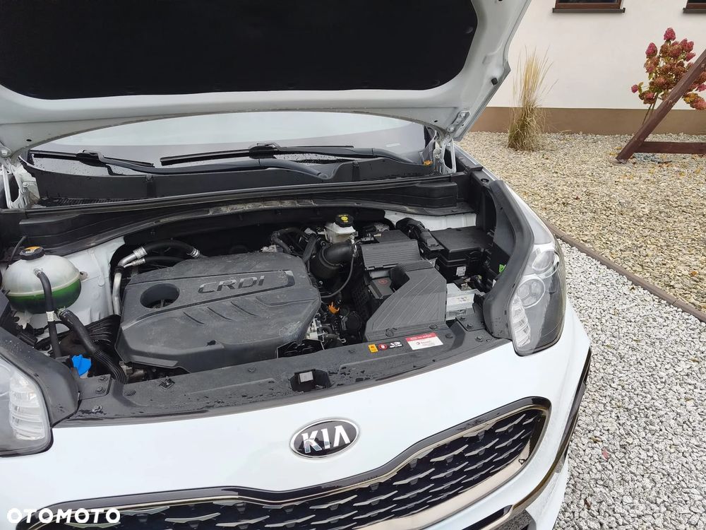 Kia Sportage - 32