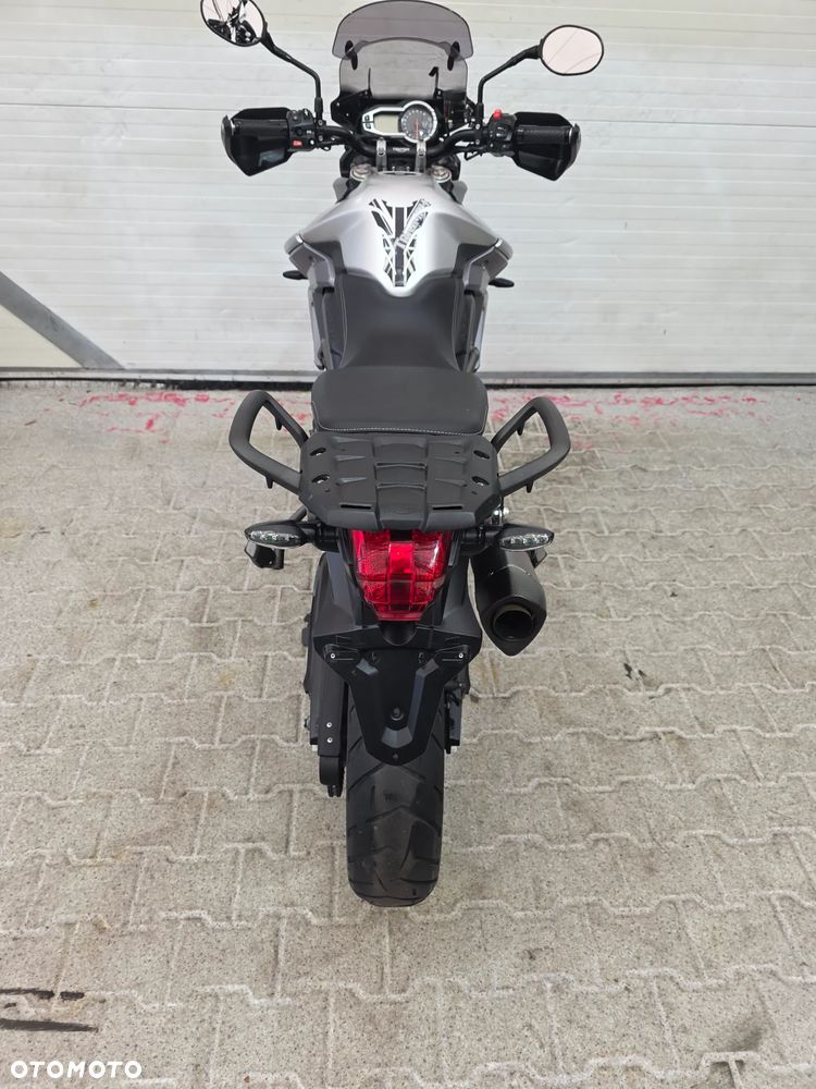 Triumph Tiger - 25