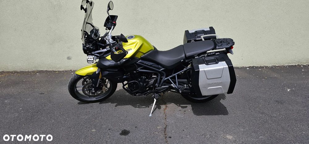 Triumph Tiger - 24