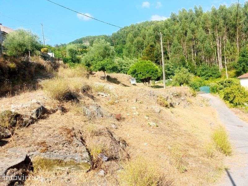 Terreno para construção - Grande imagem: 3/3
