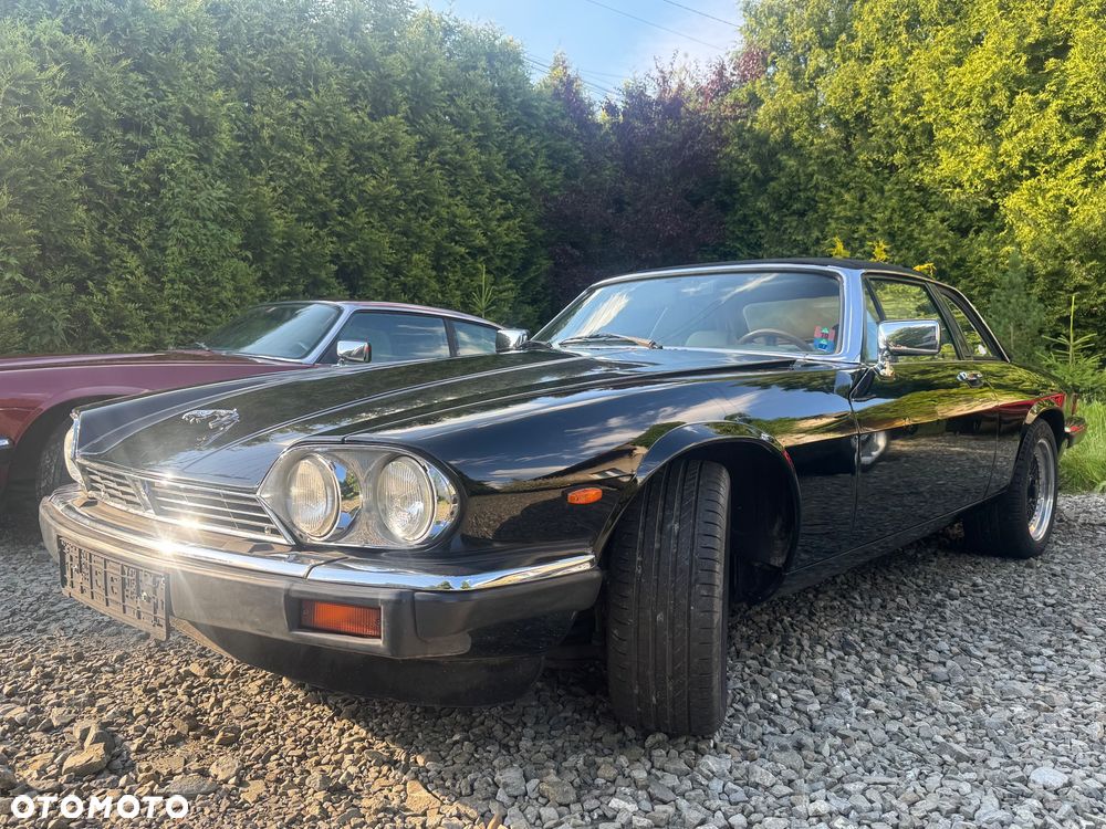 Jaguar XJS - 7