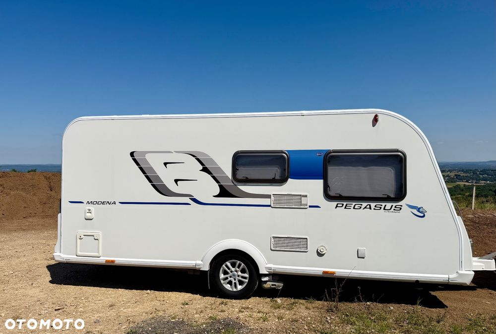 Bailey - 38