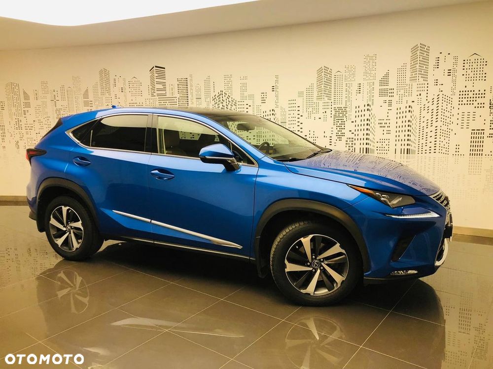 Lexus NX I (2014-2021) 300 Omotenashi AWD, 2019