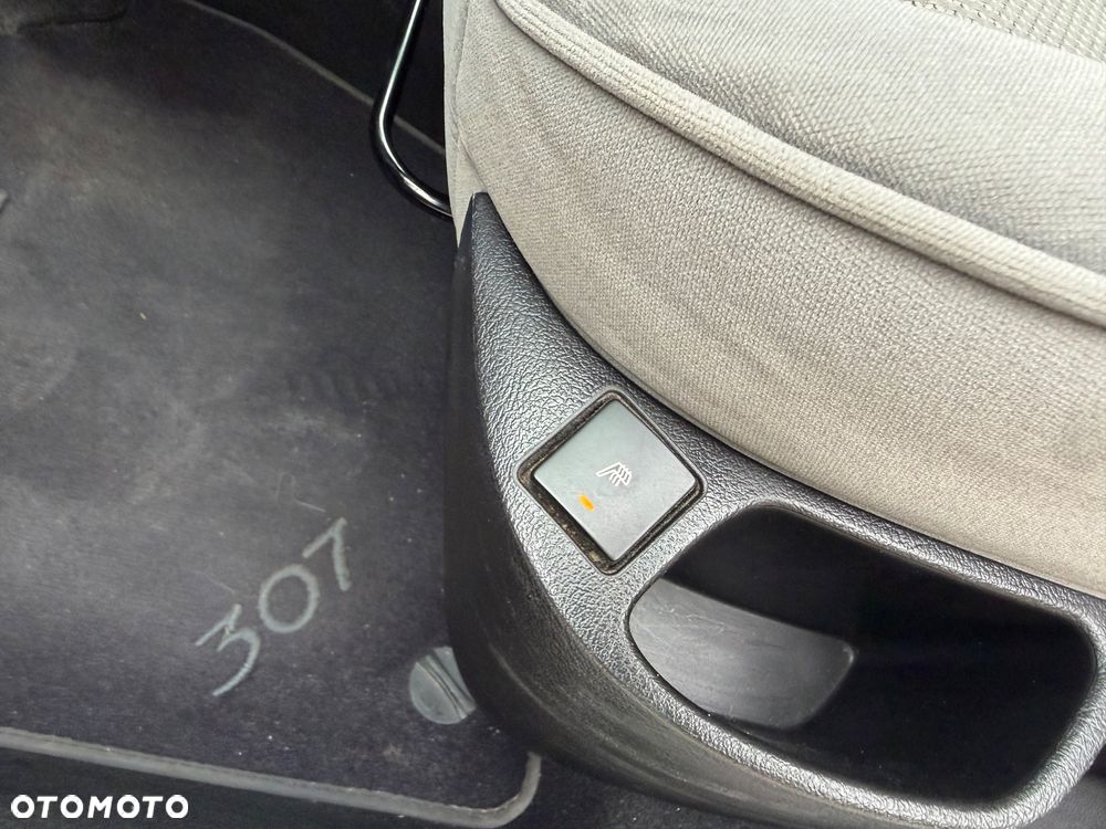 Peugeot 307 1.6 XT Premium - 20