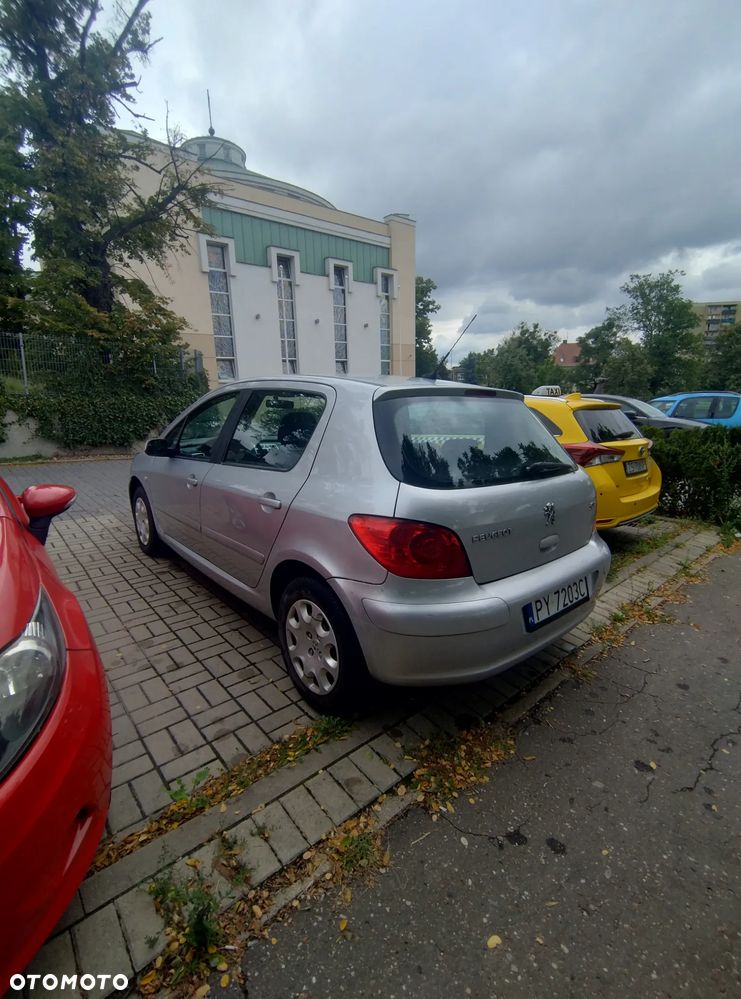 Peugeot 307 - 8