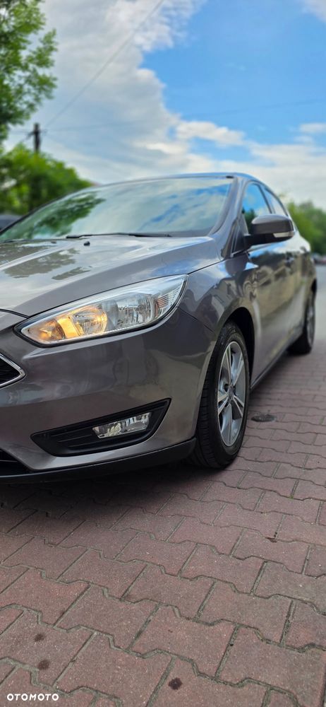 Ford Focus - 15
