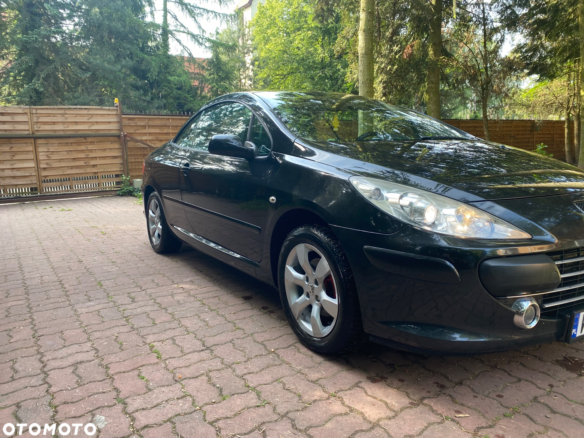 Peugeot 307 CC 2.0 Intense - 14