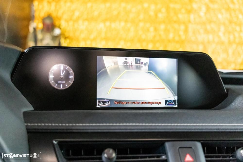 Lexus UX 300e Luxury - 38
