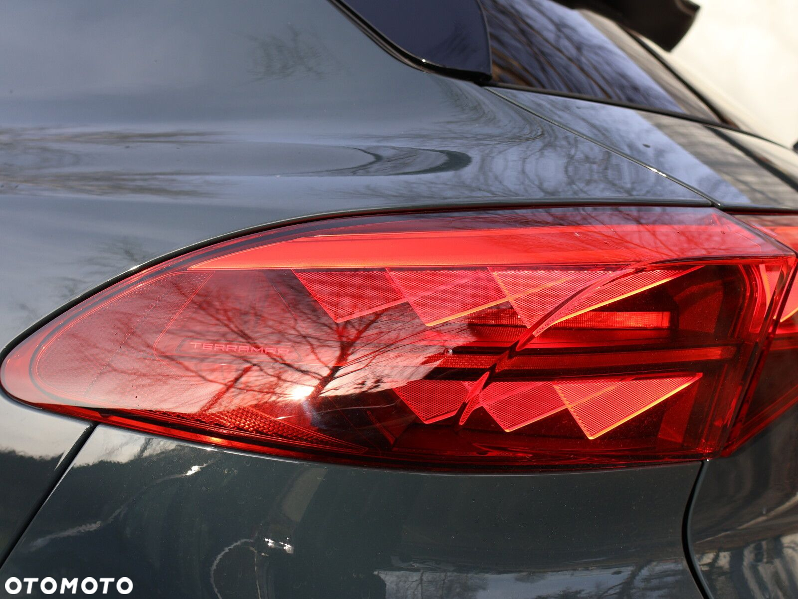 Cupra Terramar 1.5 eTSI mHEV DSG - 10