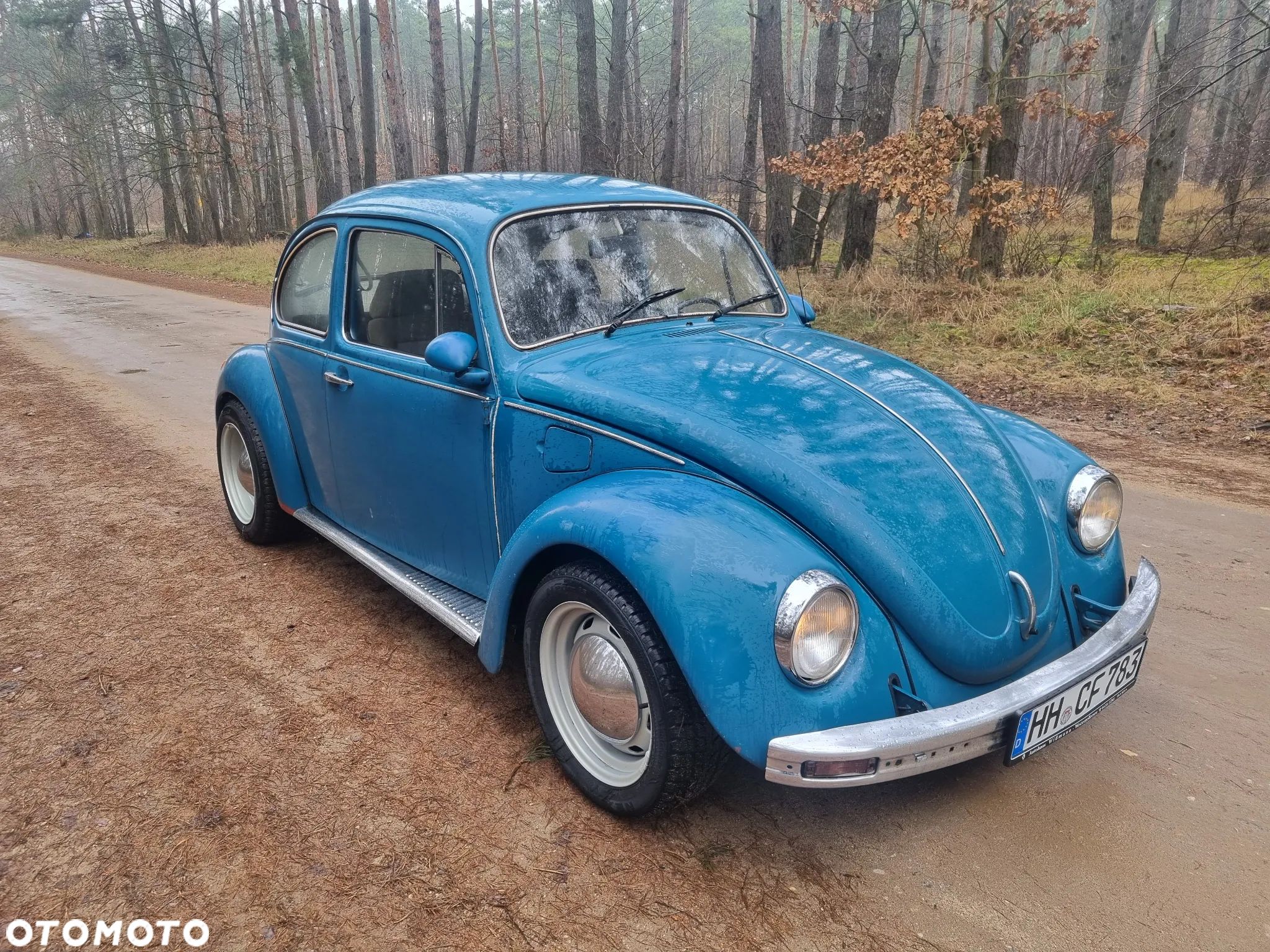 Volkswagen Garbus - 1