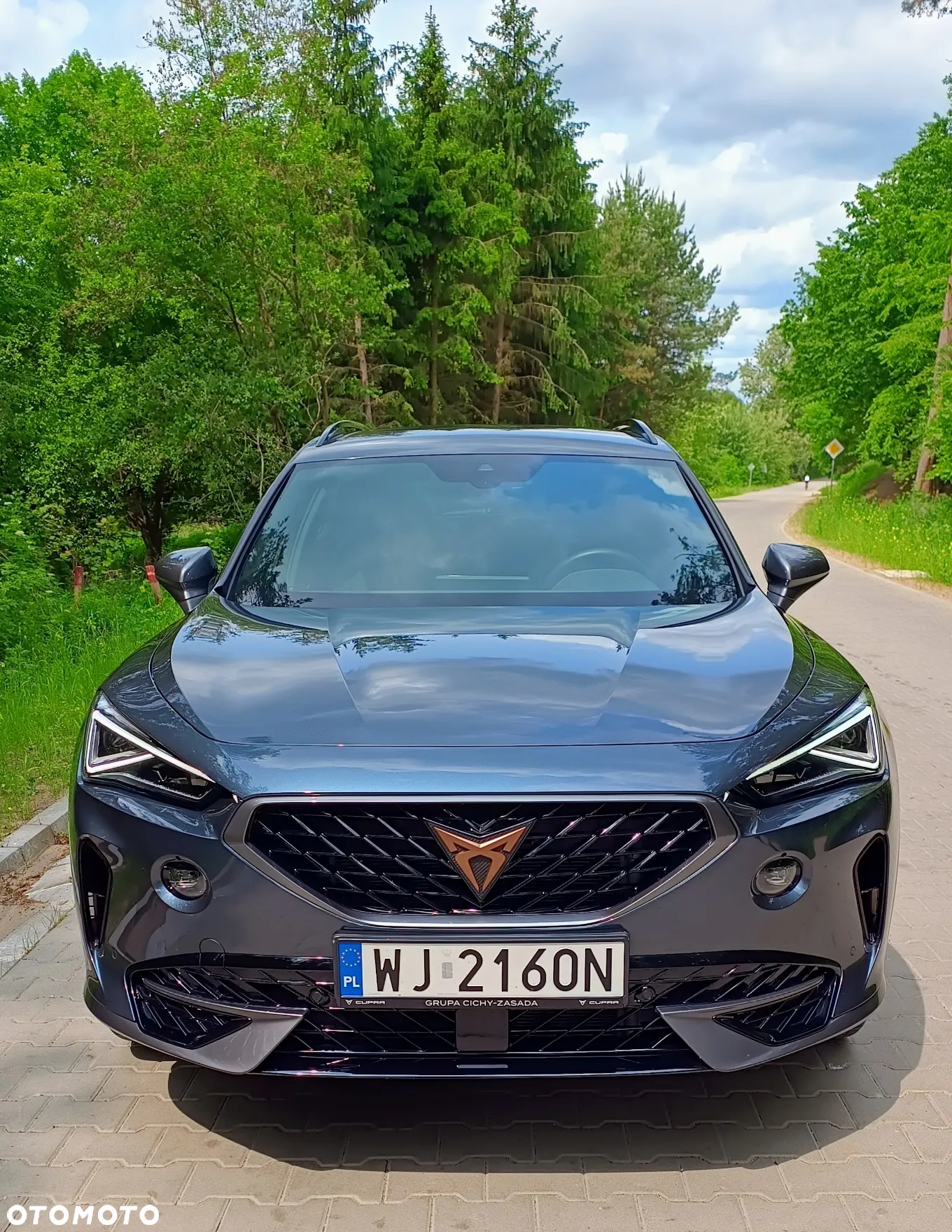 Cupra Formentor 2.0 TDI 4Drive DSG - 25