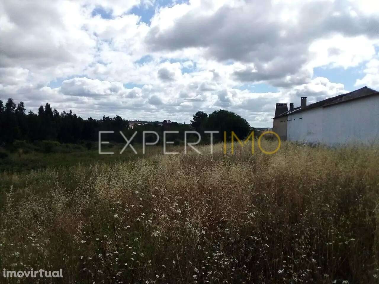Terreno Manique do Intendente Azambuja com 2,6 hectares - Grande imagem: 4/15