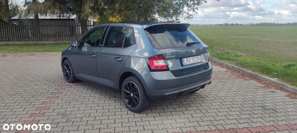 Skoda Fabia 1.4 TDI Monte Carlo - 5