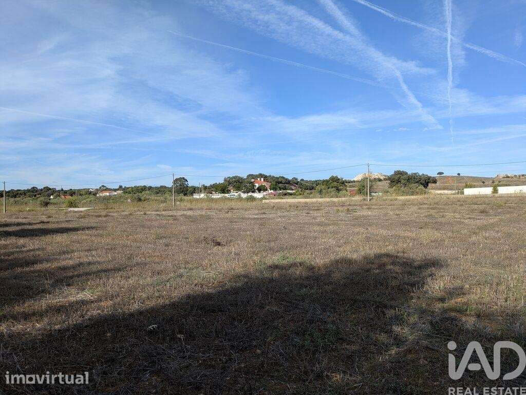 Terreno Agrícola em Estremoz - Grande imagem: 3/15