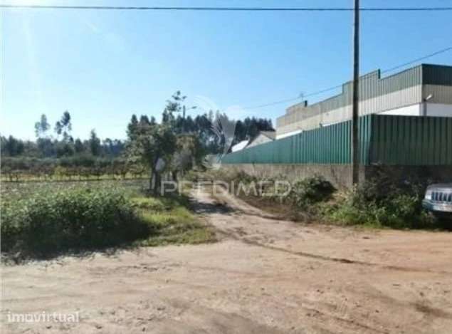 Terreno Valongo do Vouga - Grande imagem: 2/5