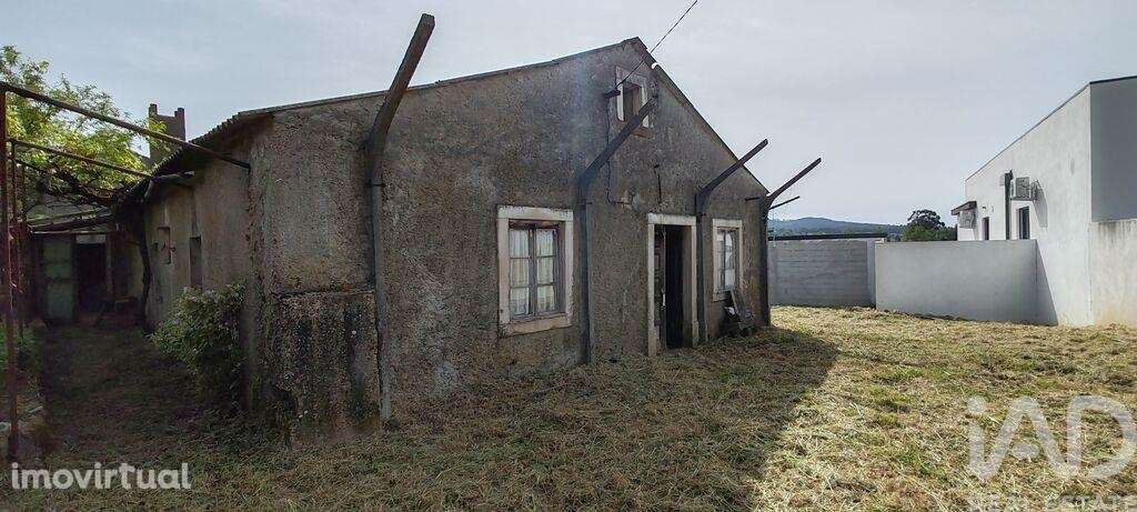 Casa / Villa T2 em Avelar de 72 m2 - Grande imagem: 2/40