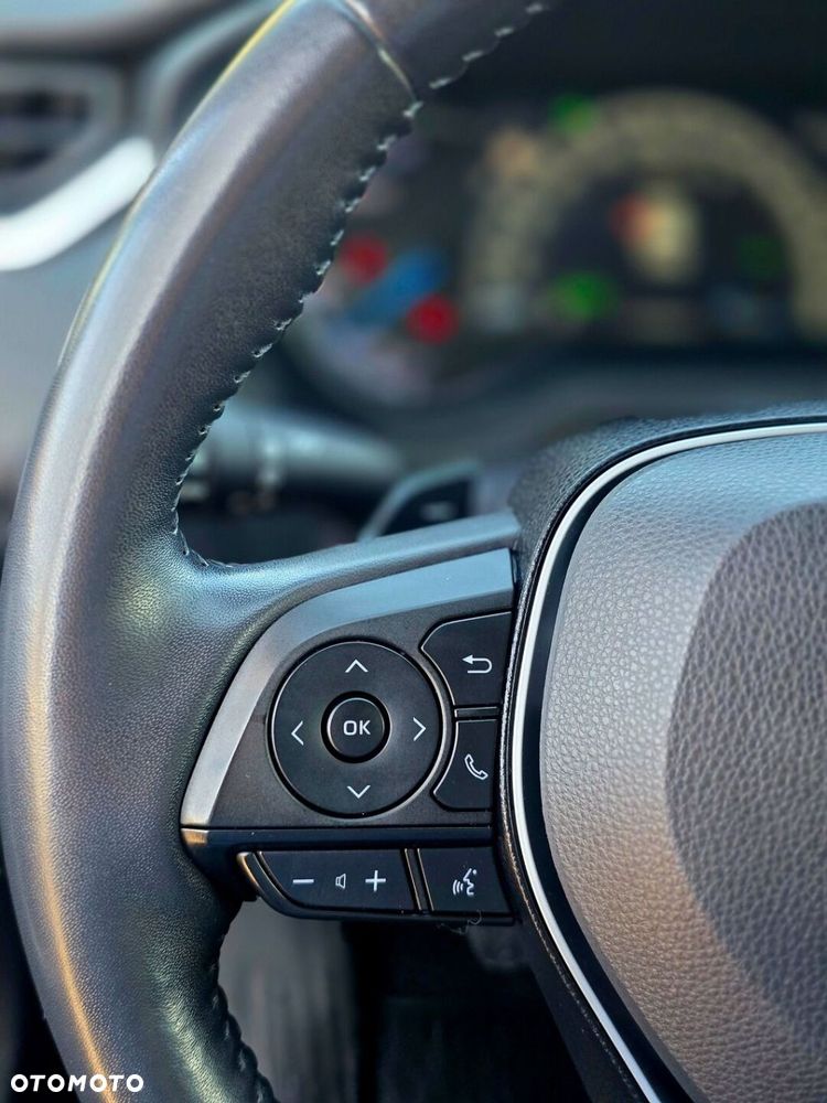 Toyota RAV4 2.5 Hybrid Executive 4x4 - 22