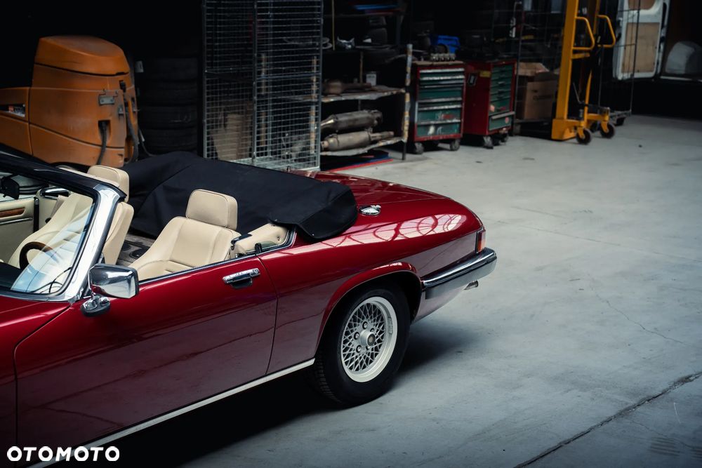 Jaguar XJS - 21