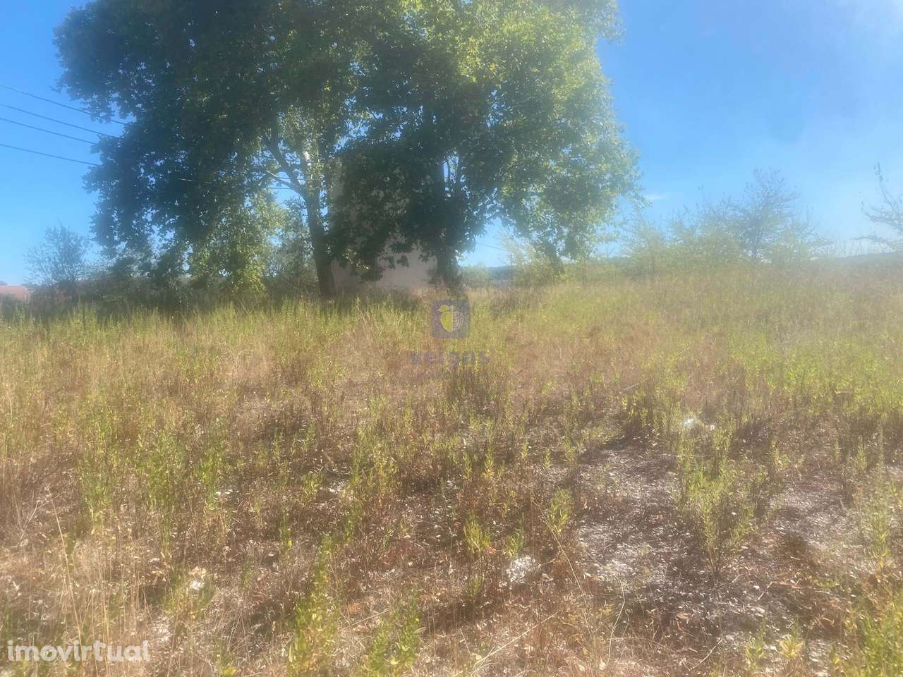 Terreno Alcanena - Grande imagem: 3/27